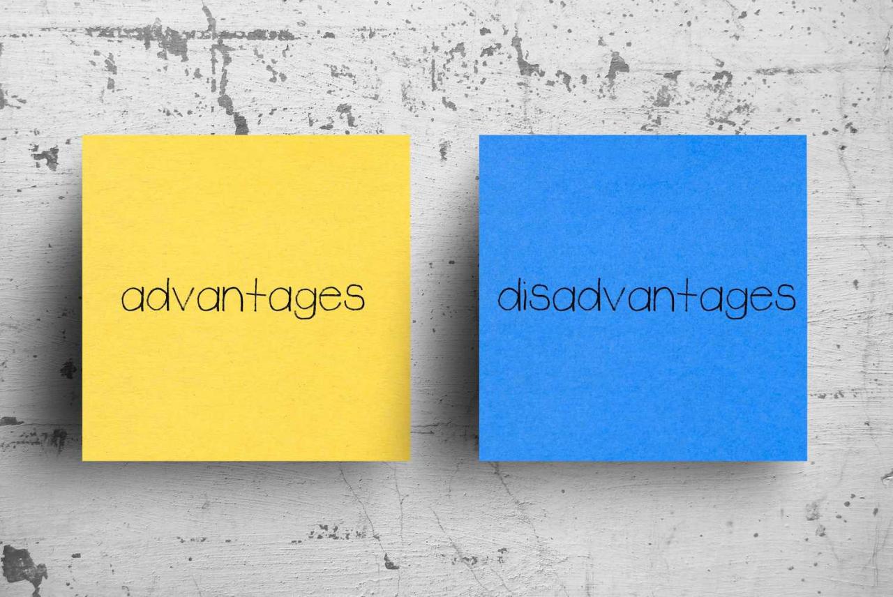 Картинки по запросу "advantages and disadvantages"